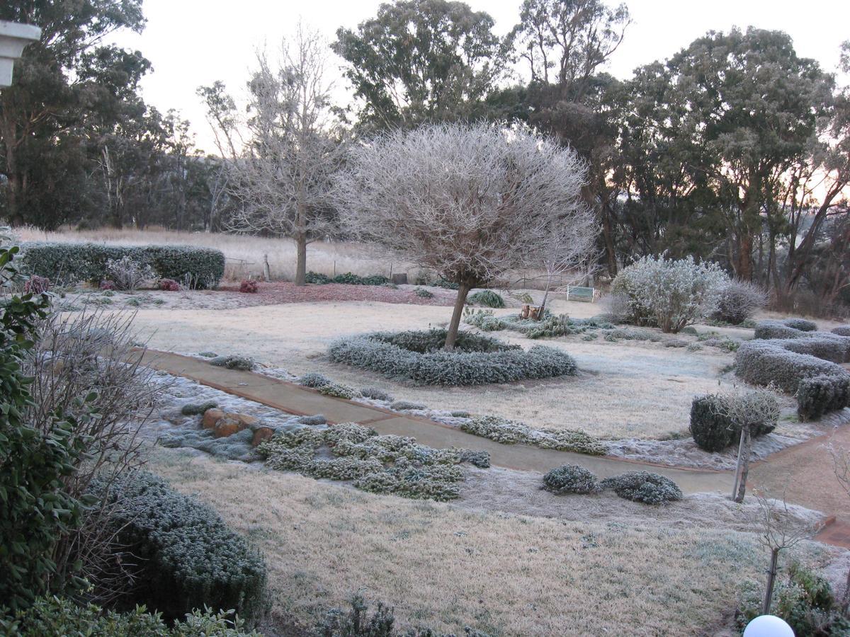 Whiskey Gully Wines Villa Stanthorpe Exterior foto