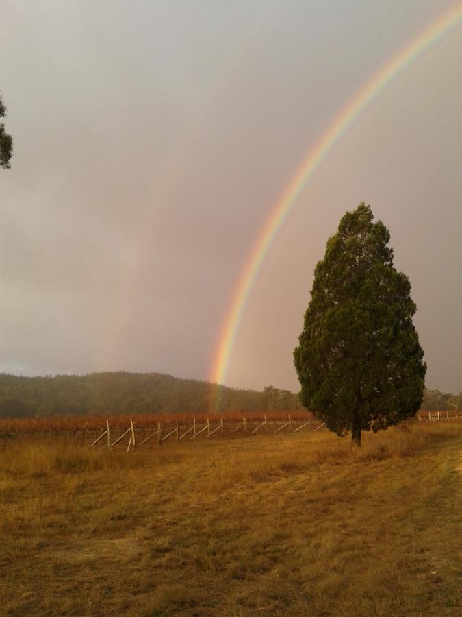 Whiskey Gully Wines Villa Stanthorpe Exterior foto