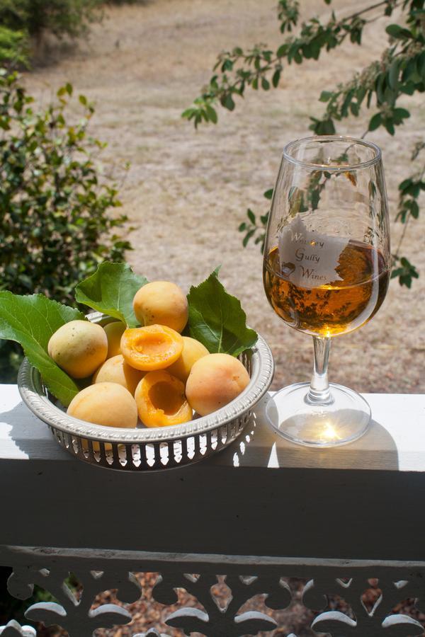 Whiskey Gully Wines Villa Stanthorpe Exterior foto